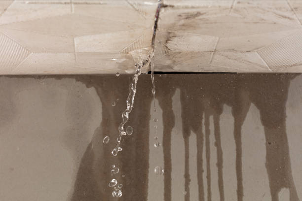 Professional Water Damage Repair technician working in Glen Flora, TX